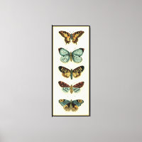 Collection Papillons par Chariklia Zarris