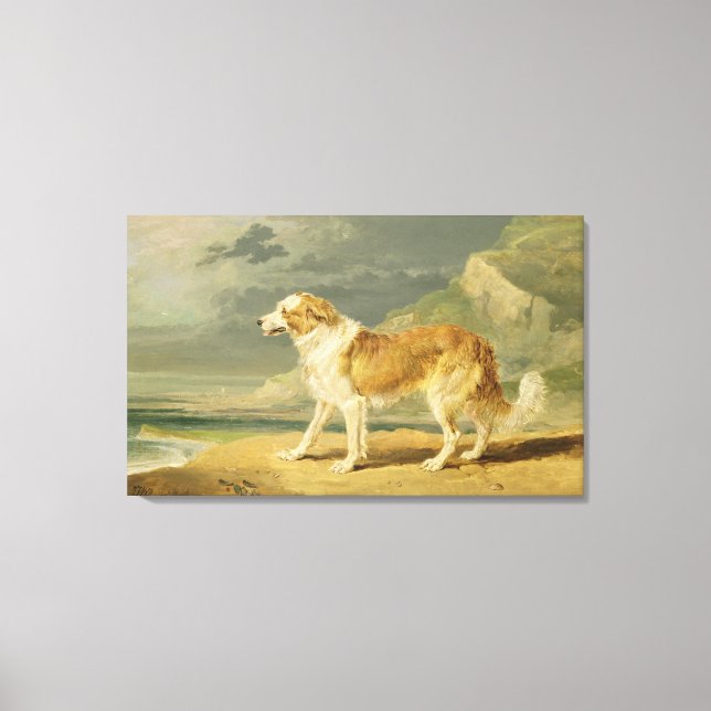 Toile Collie rough coated, 1809 (oil on board) (Recto)