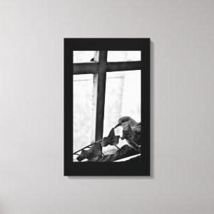 Toile Colombe tranquille