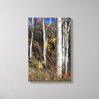 Toile Colorado Aspen Designs