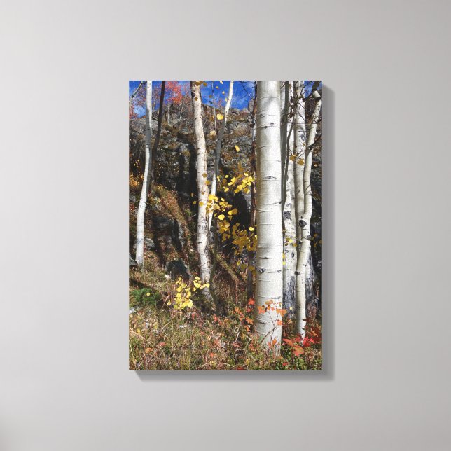 Toile Colorado Aspen Designs (Recto)