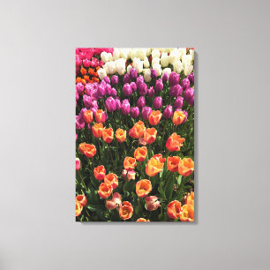 Toile Colorful Tulip Garden Bed, Oregon