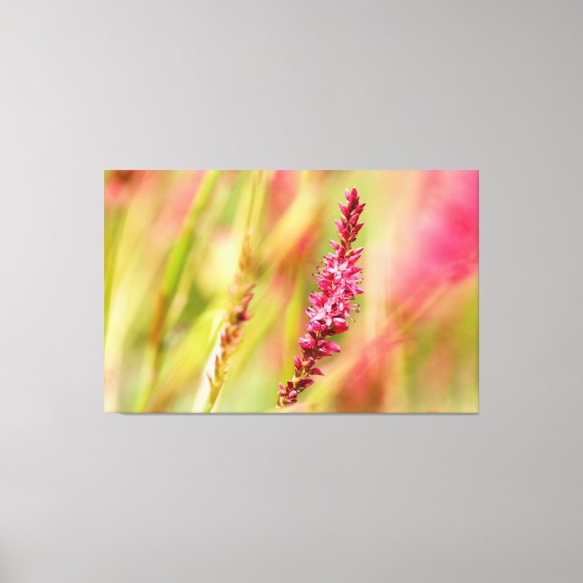 Toile coloris (Recto)