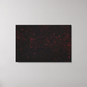 Toile Comète P : Shoemaker-Levy 9