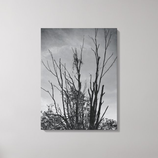 Toile Comme Ashes de Phoenix (Recto)