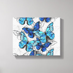 Toile Composition des White and Blue Butterflies