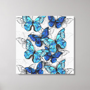 Toile Composition des White and Blue Butterflies