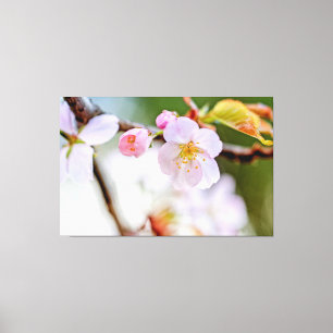 Toile Composition Florale Naturelle de Fleurs de Sakura