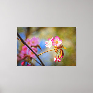 Toile Composition Naturelle De Fleurs De Sakura Au Print