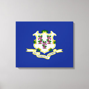 Toile Conception de l'indicateur d'état Connecticut