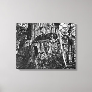 Toile CONNEXIONS CANADIENNES c. 1890