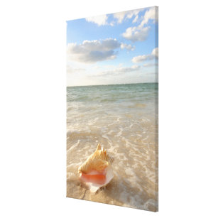 Toile Conque Shell en sable sur la plage tropicale