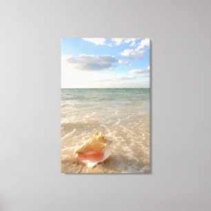 Toile Conque Shell en sable sur la plage tropicale