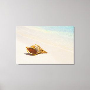 Toile Conque Shell sur la plage 3