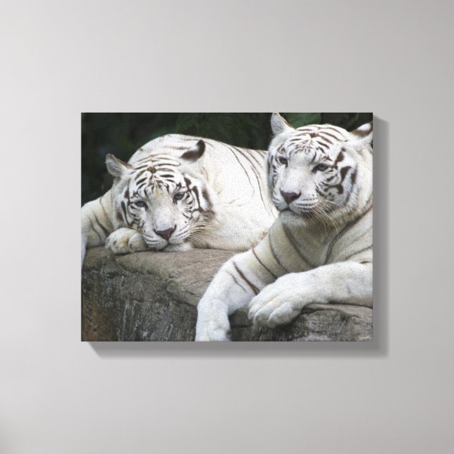 Toile Contemplation (Recto)