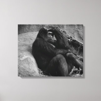 Toile Contemplation de gorille - Photo en noir et blanc