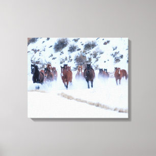 Toile Convoi de chevaux Cowboy Ranch Hideout, Shell, W