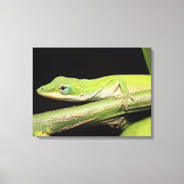 Toile Cool mignon Adorable Amusant Vert Anole Lizard Ani (Recto)
