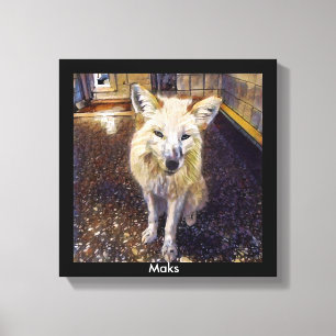 Toile Copie de FOx - Maks