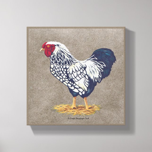 Toile Coq argenté Laced Wyandotte (Recto)