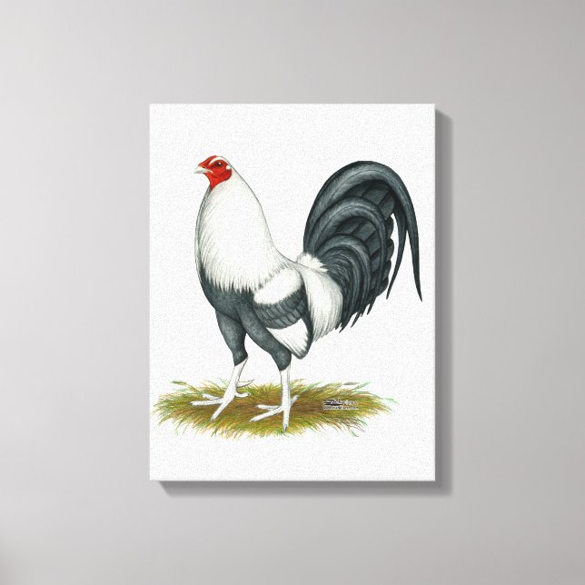 Toile Coq de combat américain argenté bleu (Recto)