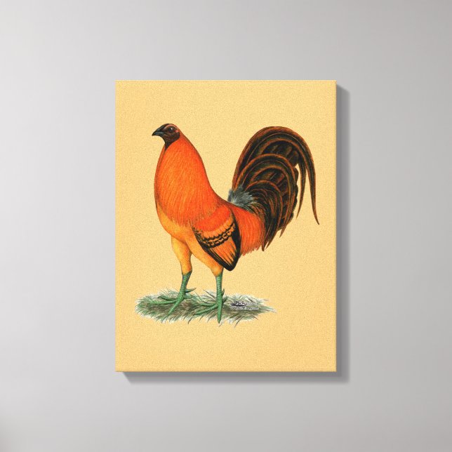 Toile Coq de combat Ginger Rouge (Recto)