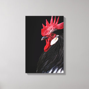 Toile Coq de ferme de campagne noir rouge blanc Photo de