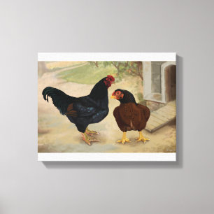 Toile Coq et poule cornouaillais