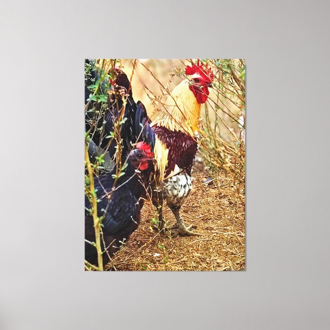 Toile Coq et Poule dans un Fourré (Recto)