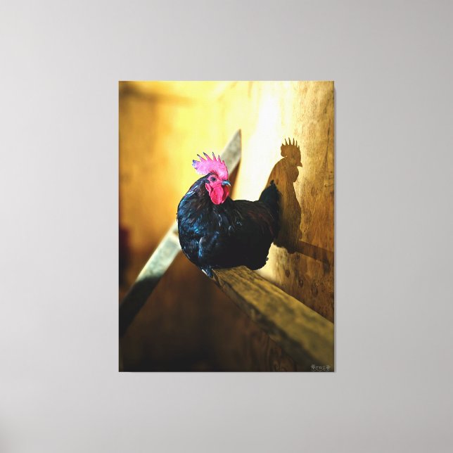 Toile Coq perché dans une grange (Recto)