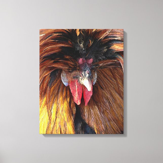 Toile Coq polonais (Recto)