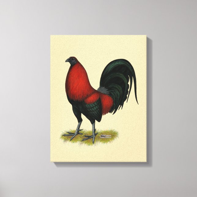 Toile Coq Rouge Noir BB Américain (Recto)