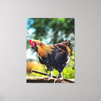 Toile Coq vibrant perché sur une clôture