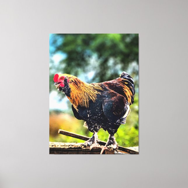 Toile Coq vibrant perché sur une clôture (Recto)