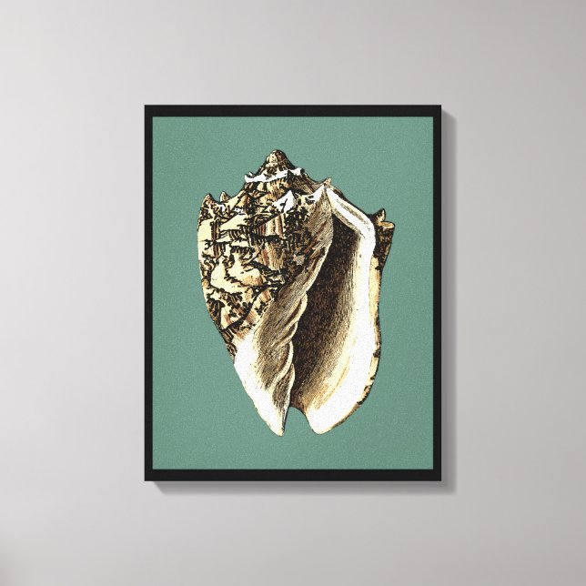 Toile Coque conique turquoise (Recto)