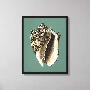 Toile Coque conique turquoise