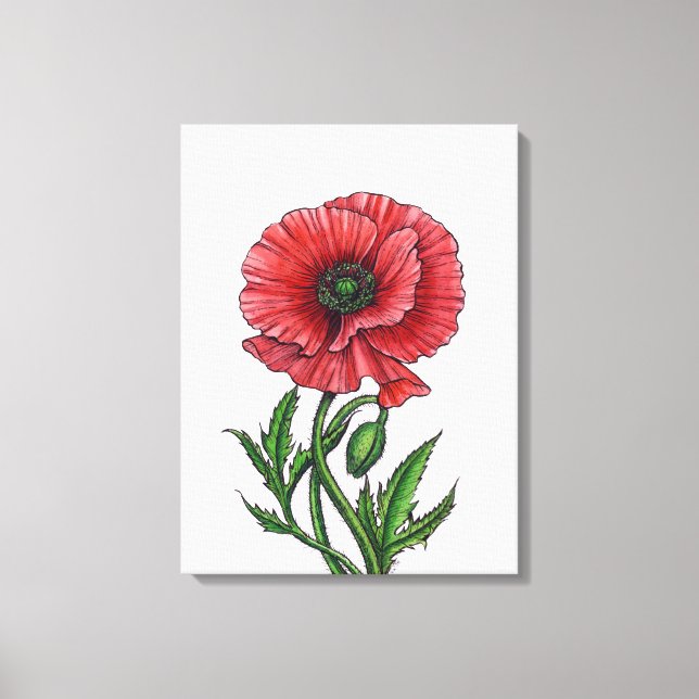 Toile Coquelicot, aquarelle et encre (Recto)