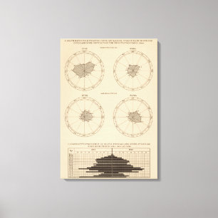 Toile Coqueluche des 116 décès