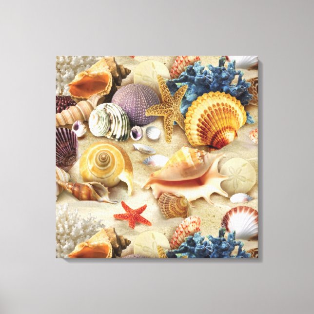 Toile Coques de mer sur la plage (Recto)