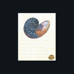 Toile Coquillage romantique<br><div class="desc">Vivez-vous loin de la plage ? Pas de problème ! Profitez de ce tableau romantique de coquillages pour vous faire une image sur une plage paisible par beau temps. Cette oeuvre d'art romance la mer et les petites vagues qui vous laisseront rêver d'une visite à la plage. Obtenez ce panneau de...</div>