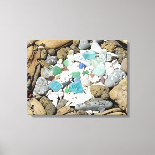 Toile Coquillages de mer côtière Bois flotté Fossiles Ve