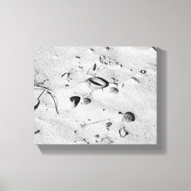 Toile Coquillages noirs et blancs dans le sable 8x10 (Recto)