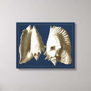 Toile Coquillages Sepia Conch