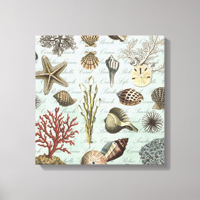 Toile Coquillages Vintages modernes (Recto)