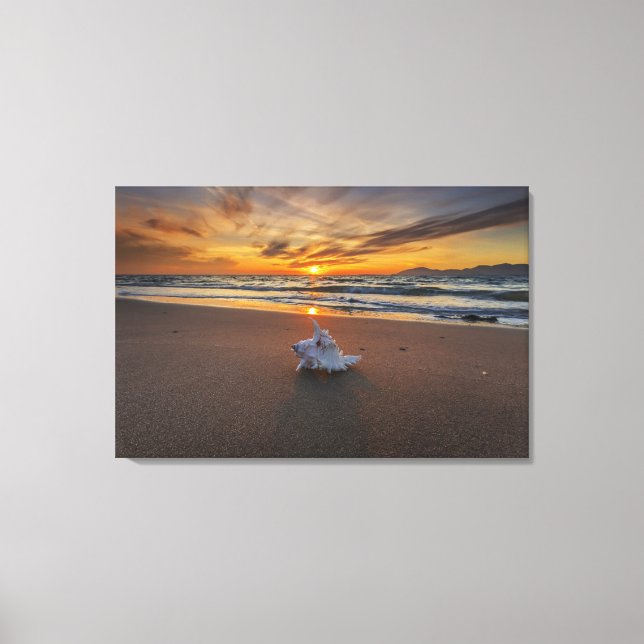 Toile Coquille À La Plage Au Coucher Du Soleil | Île de  (Recto)