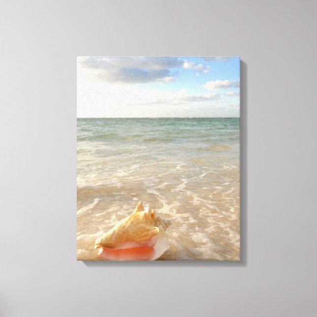 Toile Coquille De Conche Dans Le Sable Sur La Plage Trop (Recto)