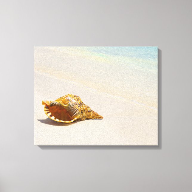 Toile Coquille De Conche Sur La Plage 3 (Recto)
