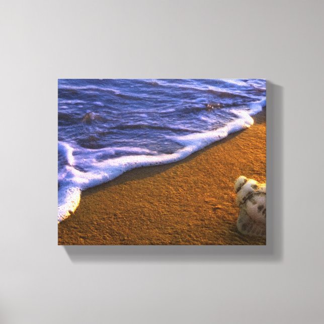 Toile Coquille De Mer Dans La Zone De Surf (Recto)