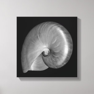 Toile Coquille de nautile noir et blanc