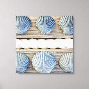 Toile Coquilles New York City